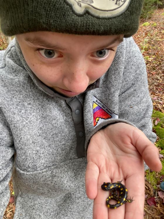 Girl holding salamander