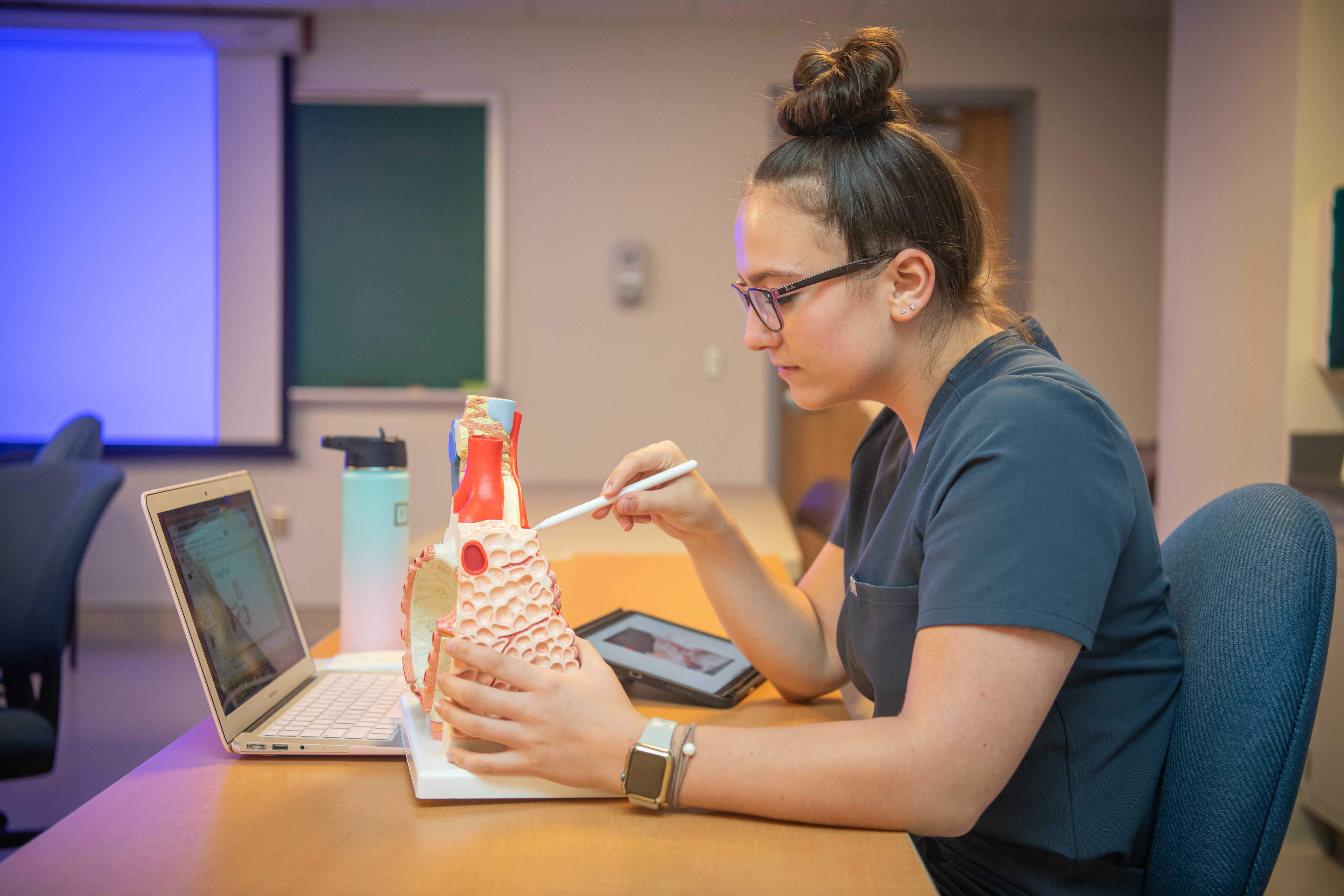 A student sits in front of a laptop, pointing at a section of a replica heart with a pen. 