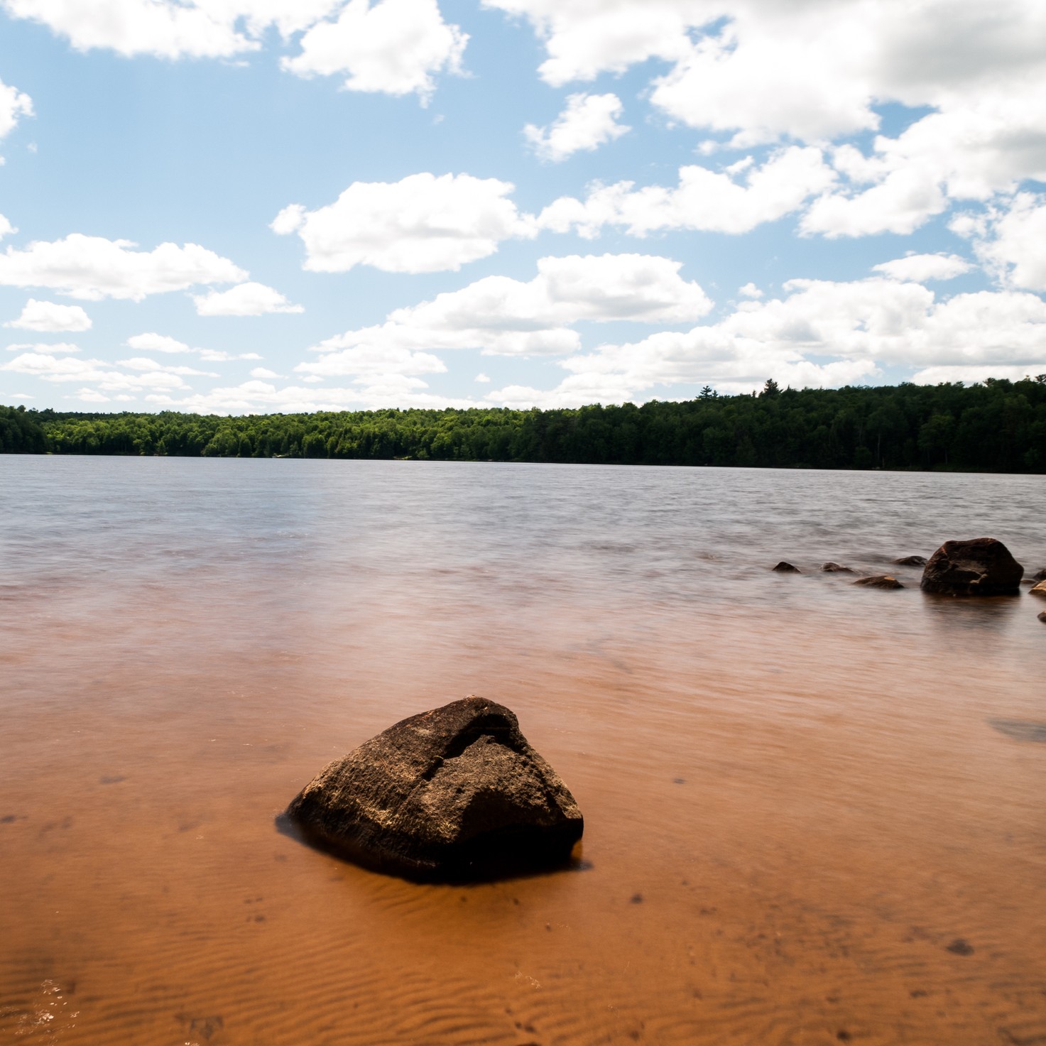 A large, dark rock sits in the shallow, tea-colored water of Higley Flow State Park, with a dense green forest on the opposite shore under a bright blue sky with fluffy white clouds.