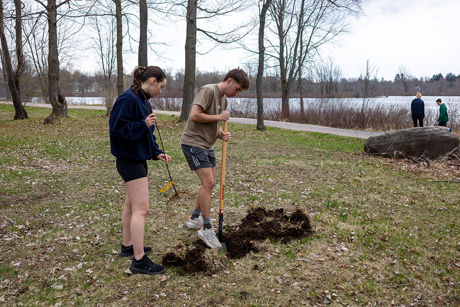 Two Clarkson students dig a hole with shovels for a tree to be planted outdoors