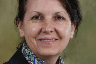 Clarkson University Professor Elizabeth Podlaha-Murphy Receives Sustainability Research Award